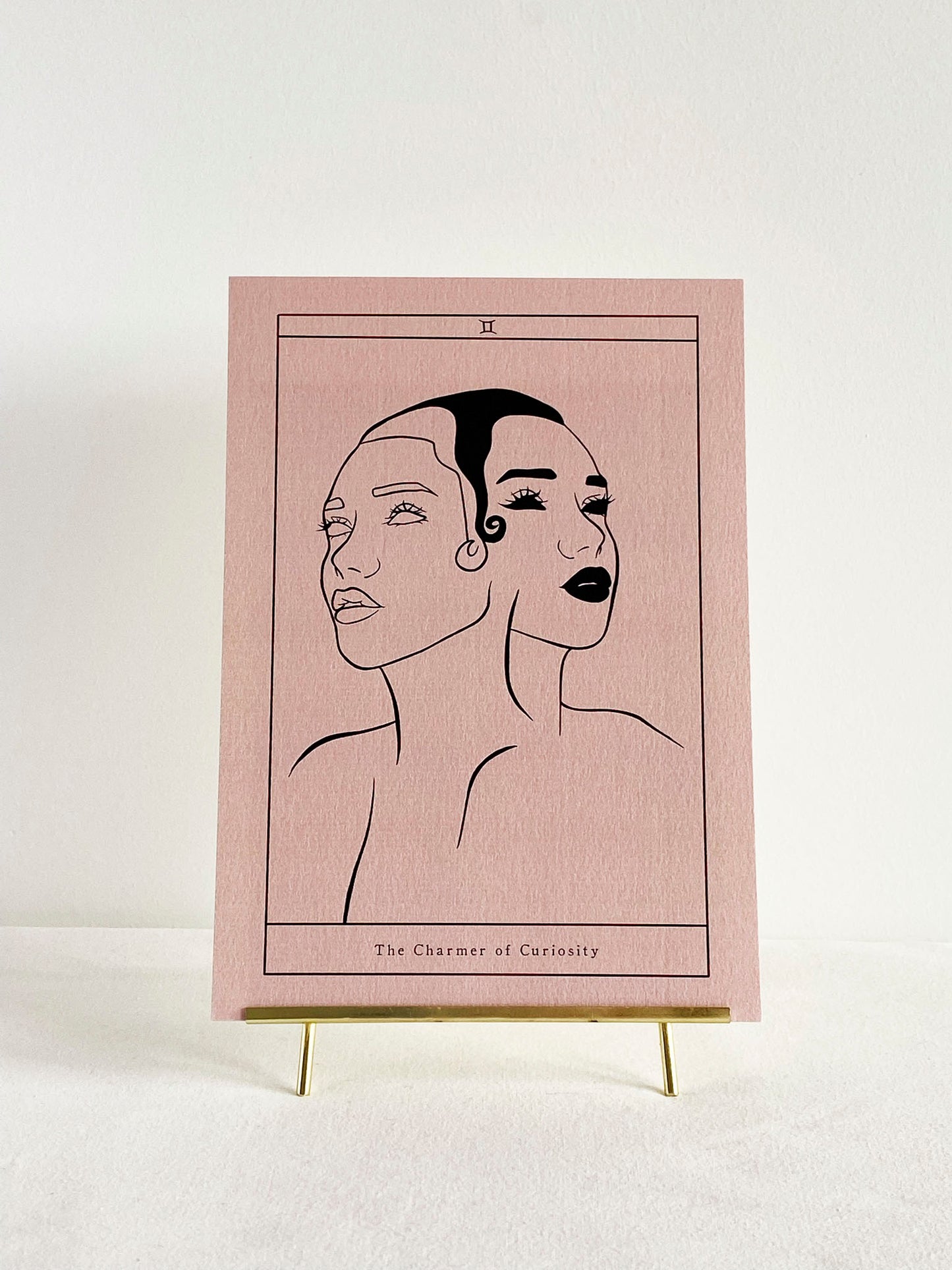 The Charmer of Curiosity