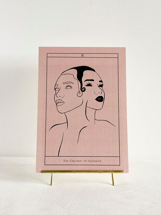 The Charmer of Curiosity