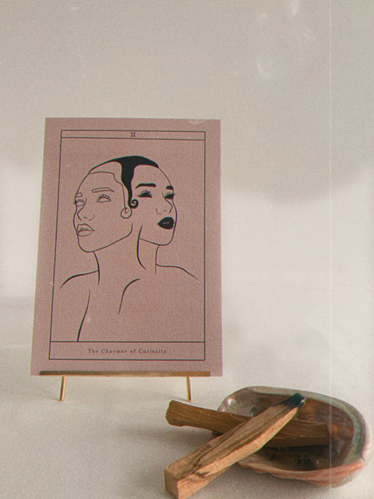 The Charmer of Curiosity